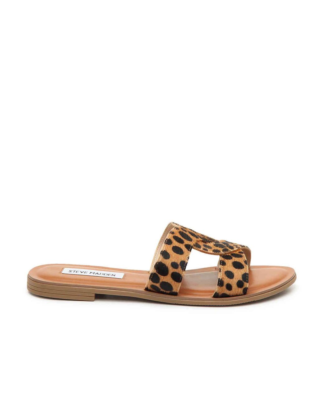 cheetah sandals steve madden