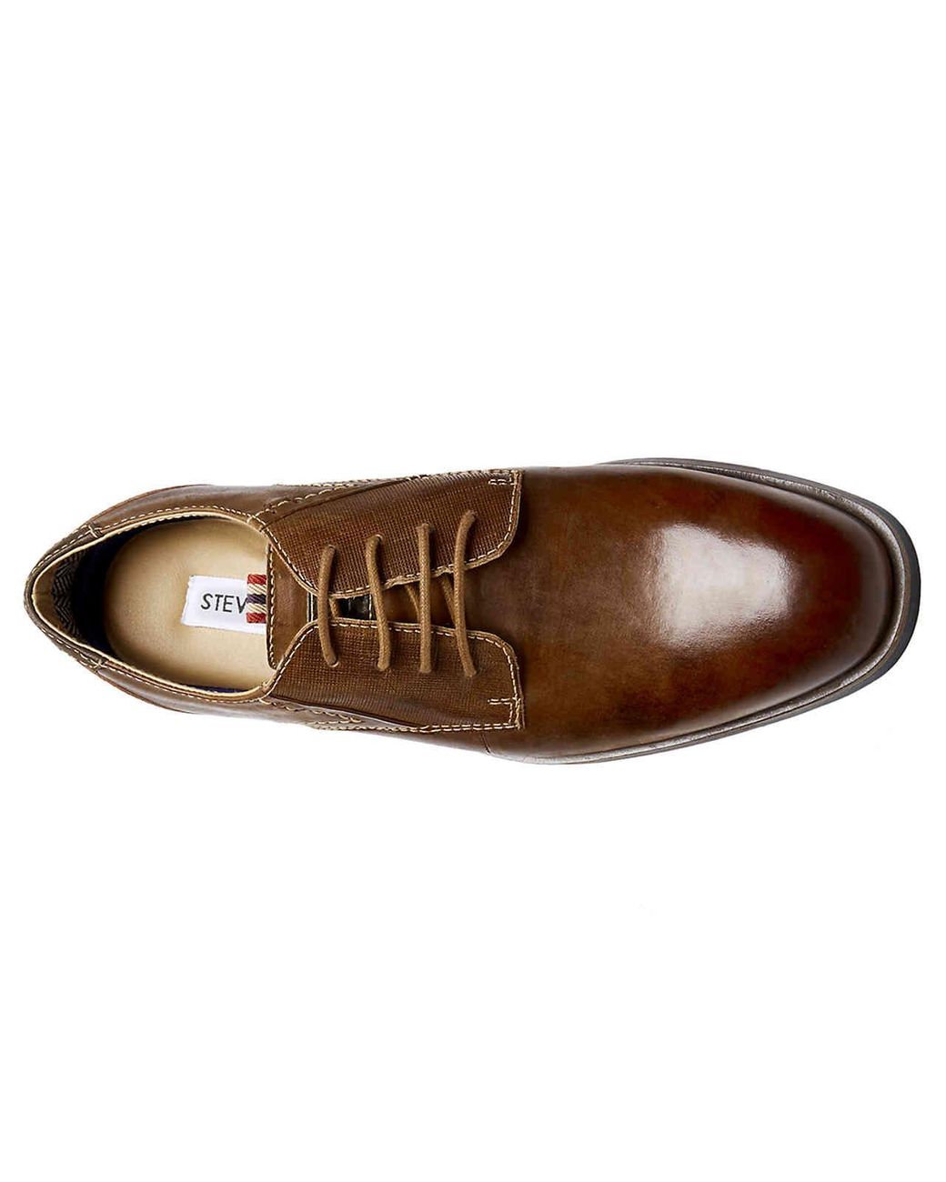 steve madden never oxford