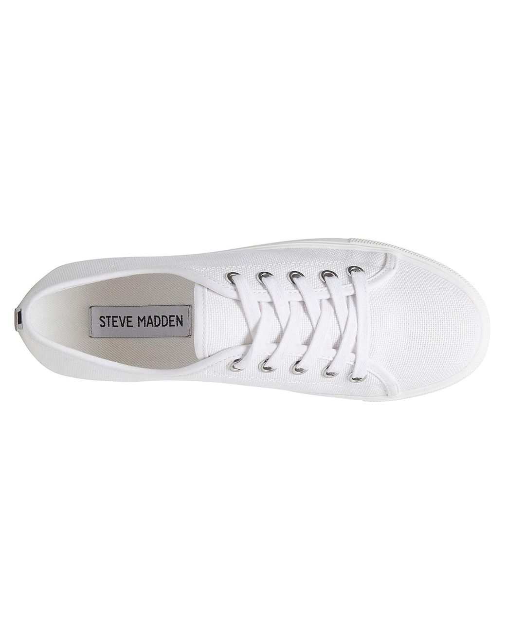 steve madden elore platform sneaker