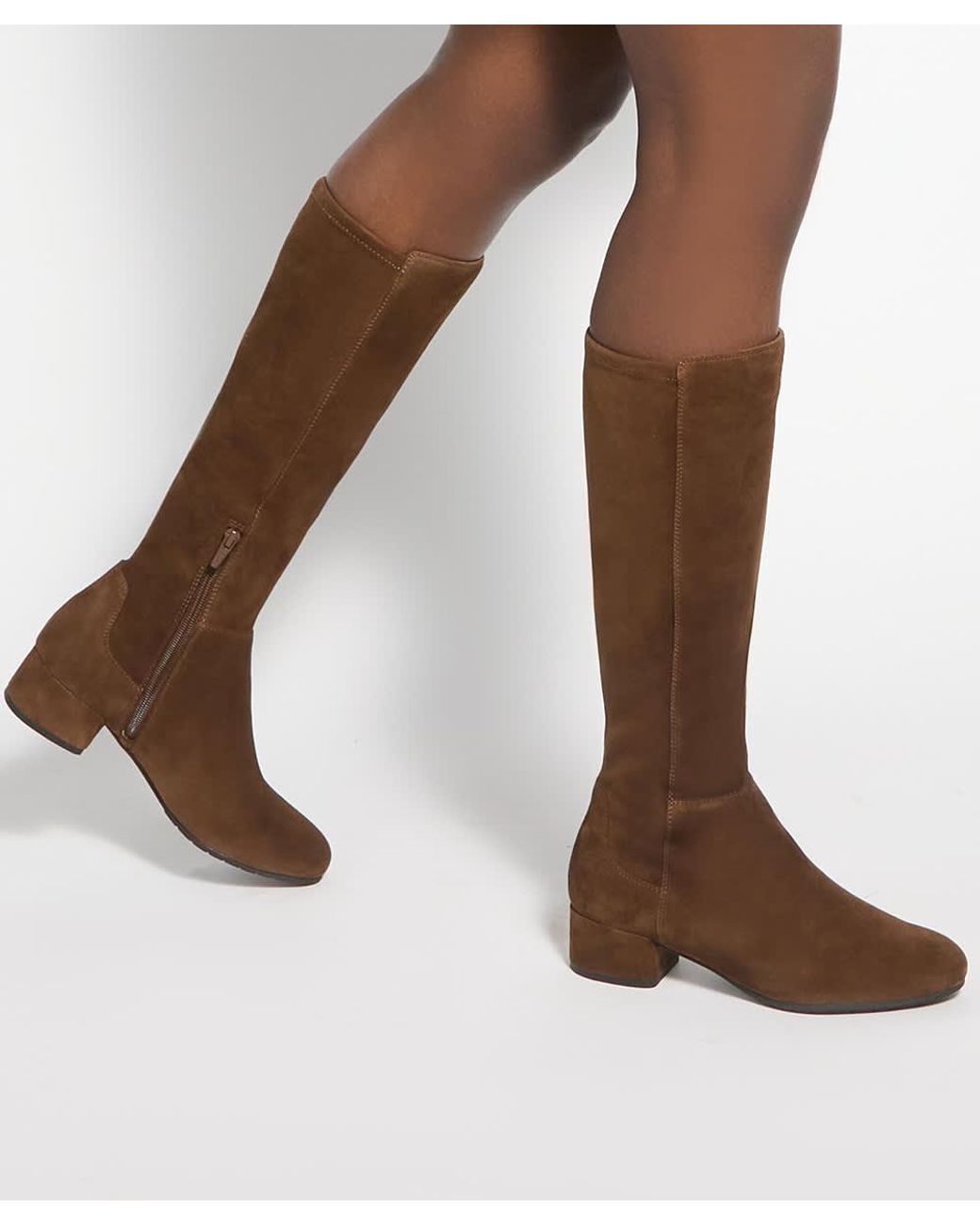 Dune Brown Tayla Stretch Knee-High Boots