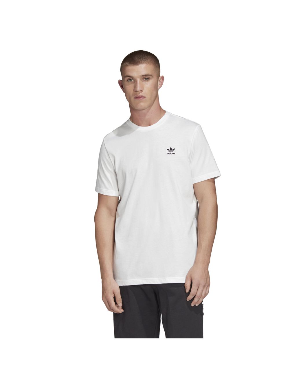 adidas Originals Cotton Essential T-shirt in White/Black (White) for ...