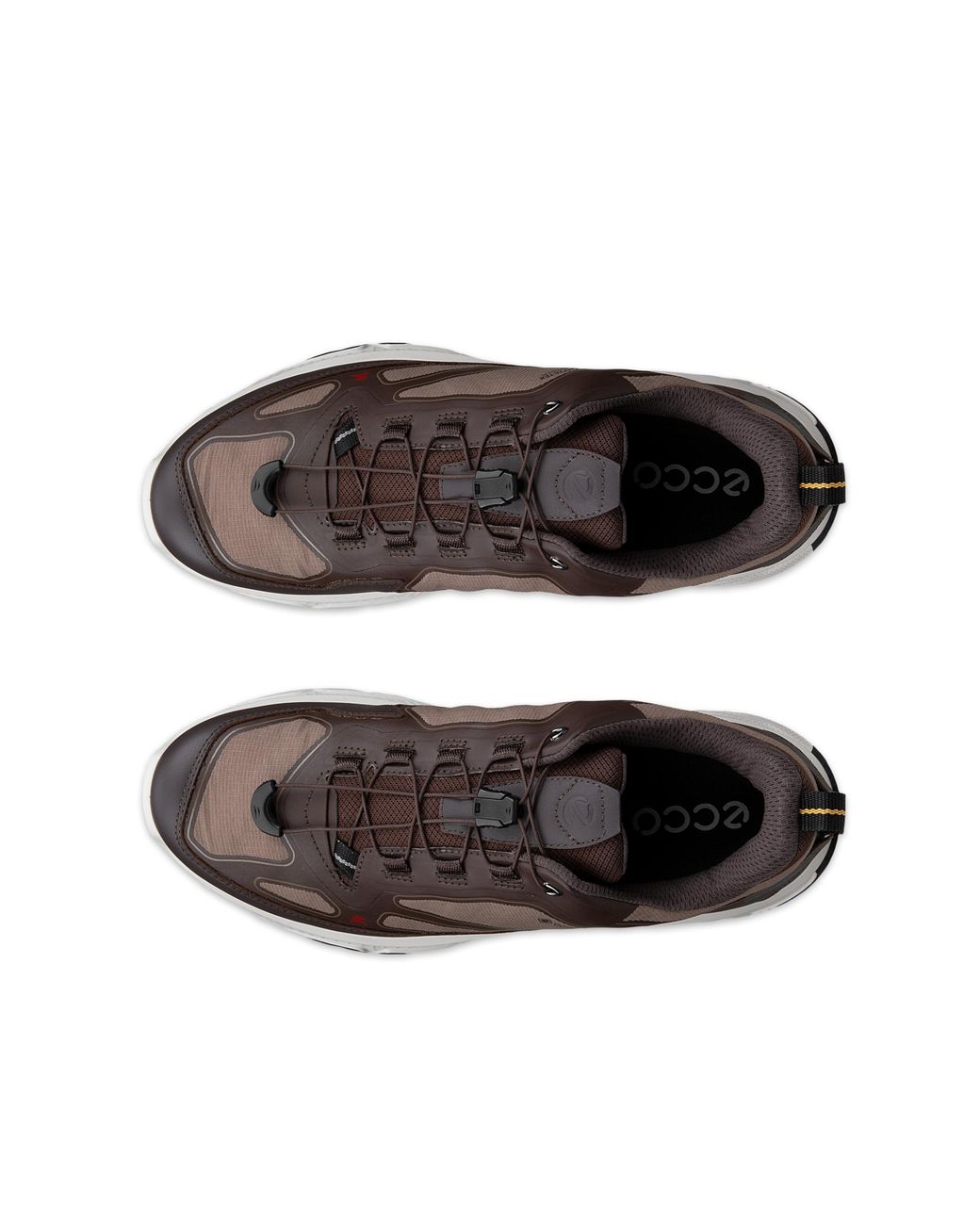 Ecco Brown Receptor Xp for men