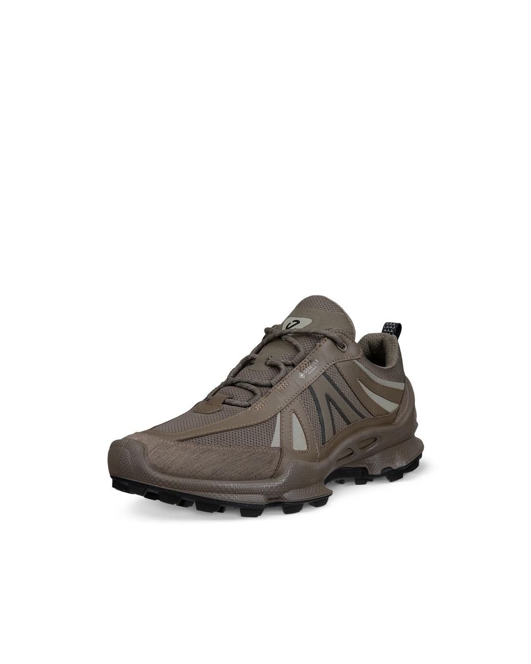 Ecco Brown Biom C-Trail for men