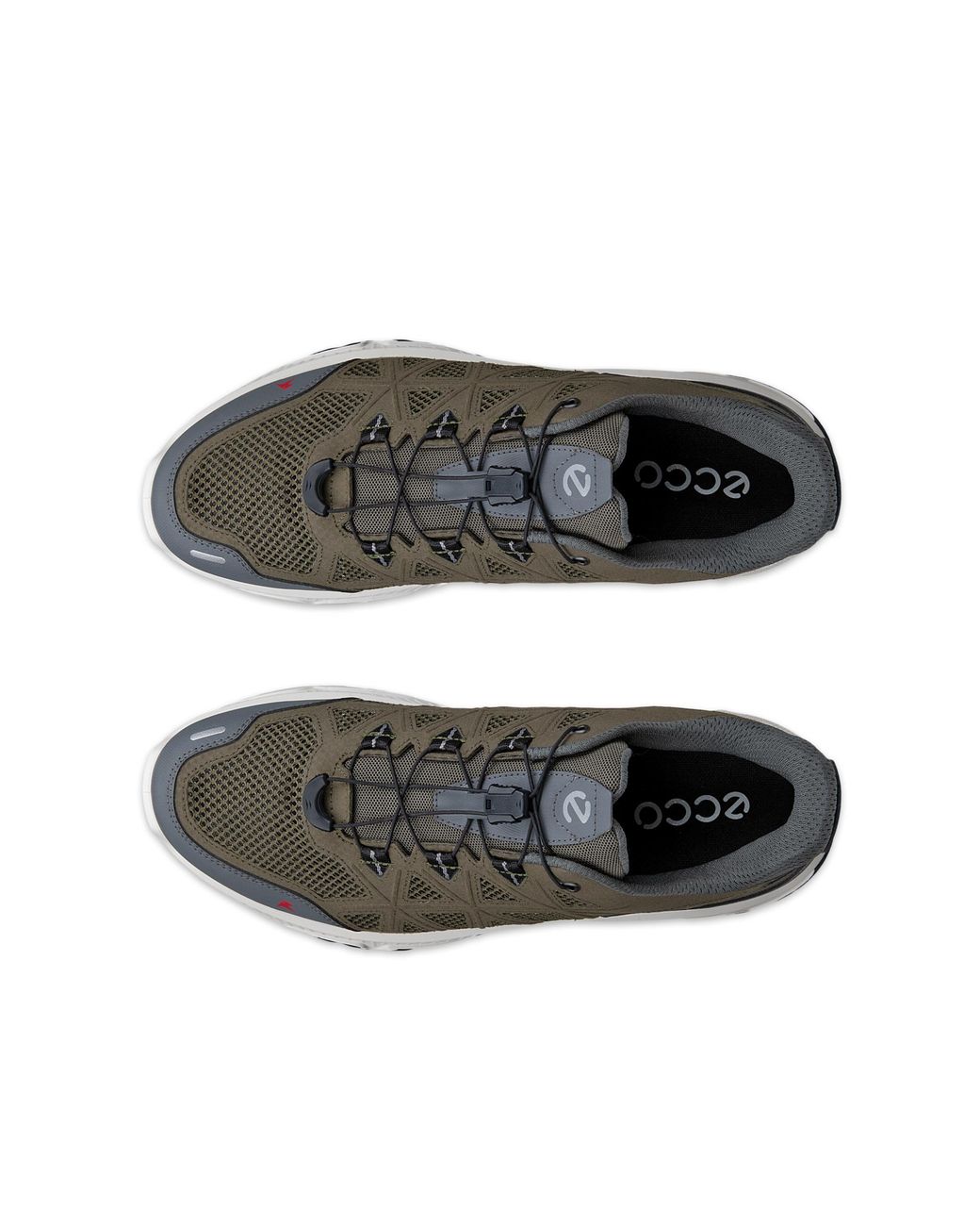 Ecco Gray Receptor Xp for men