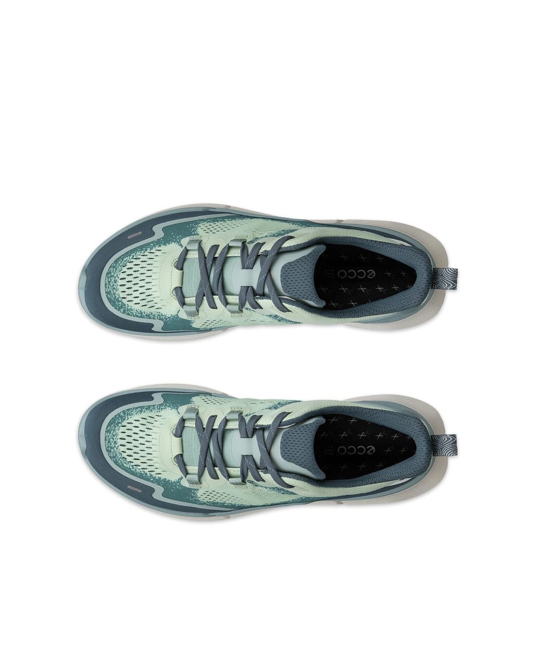 Ecco Blue Biom 2.2