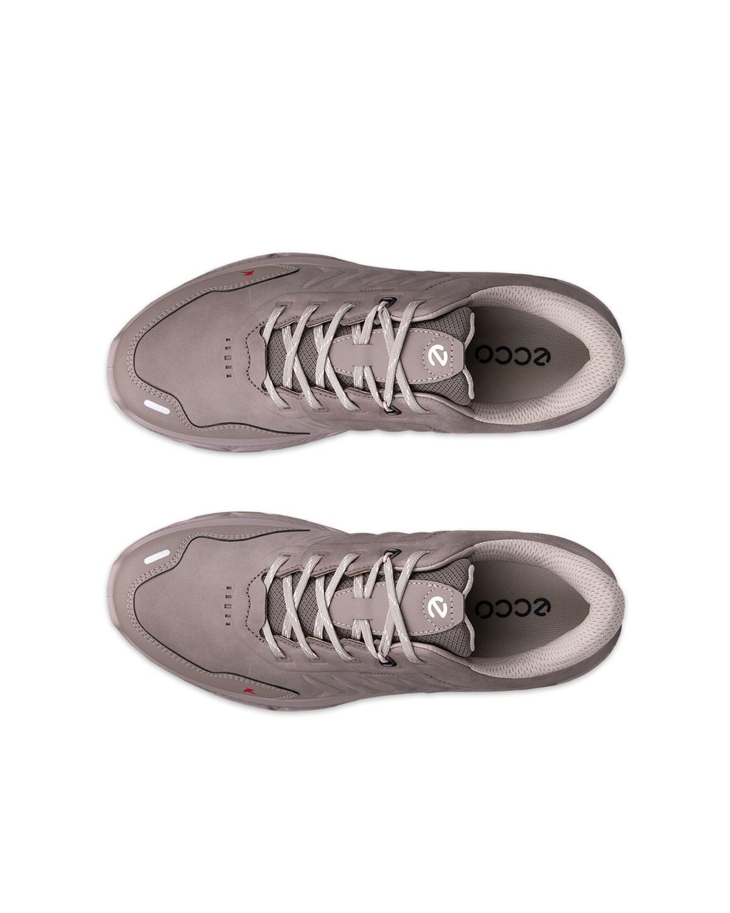 Ecco Brown Receptor Xp