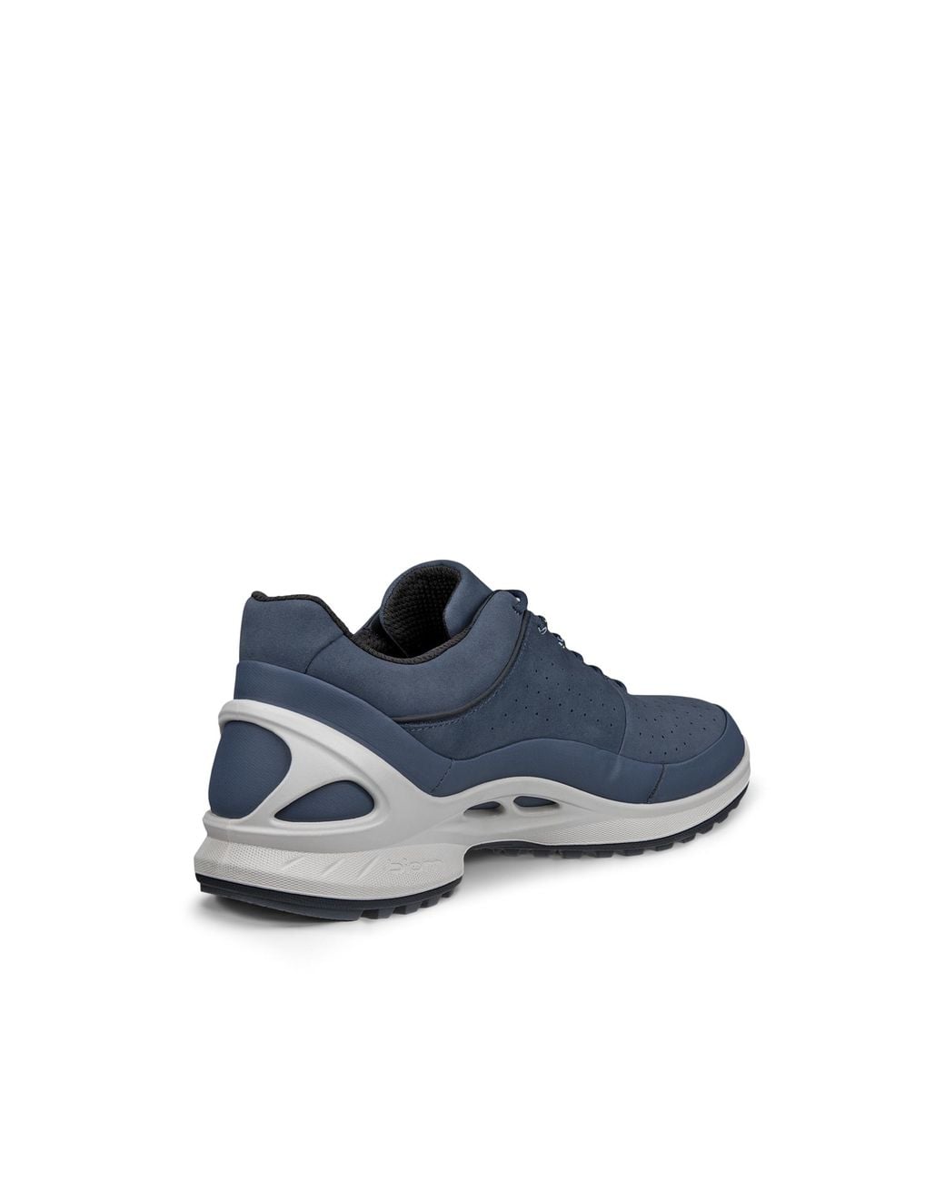 Ecco Blue Biom Energi M Lea Wp for men