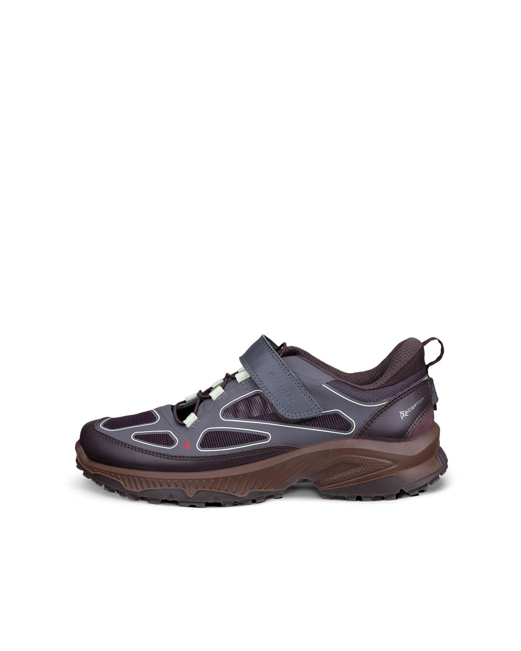 Ecco Gray Receptor Xp