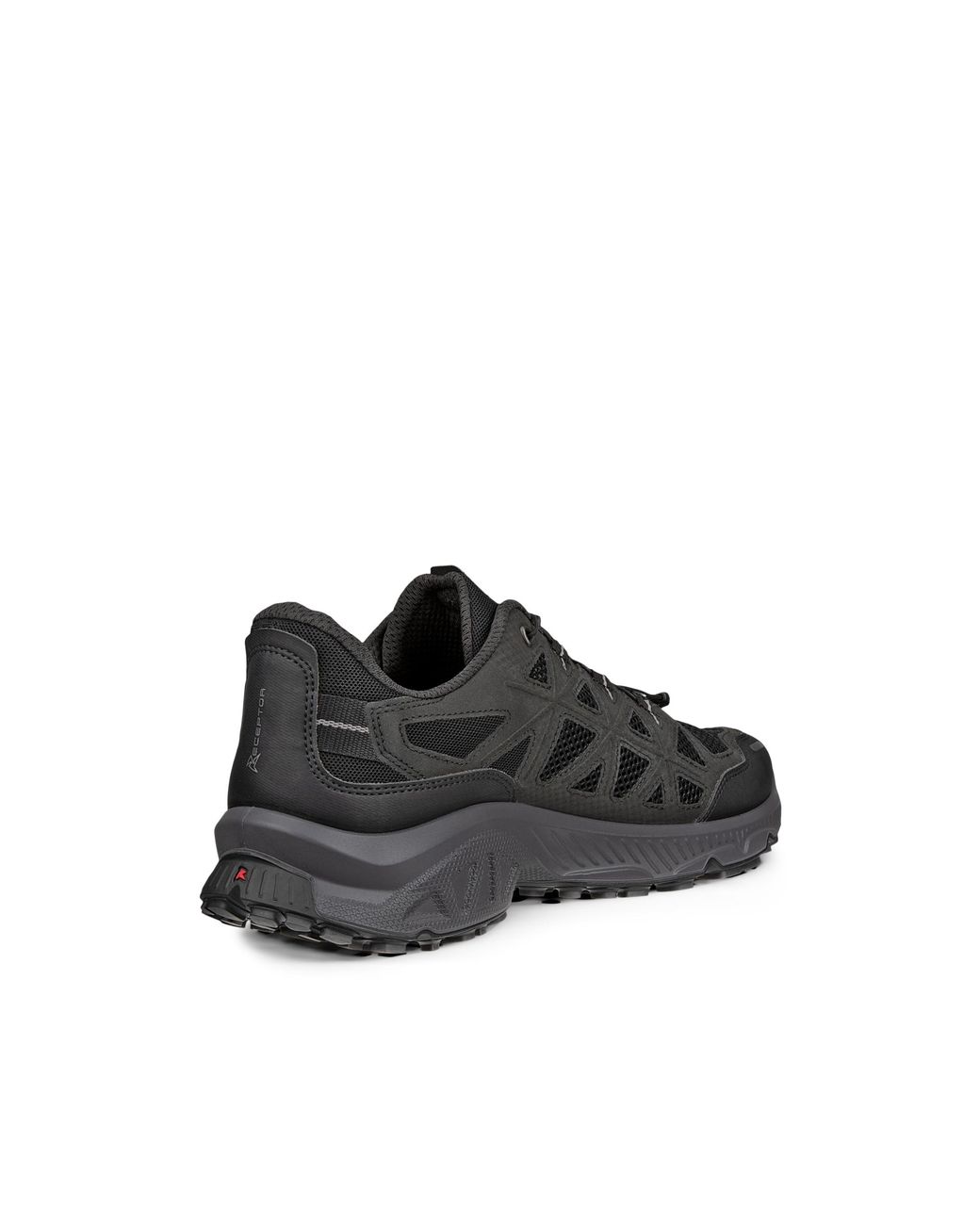 Ecco Black Receptor Xp for men