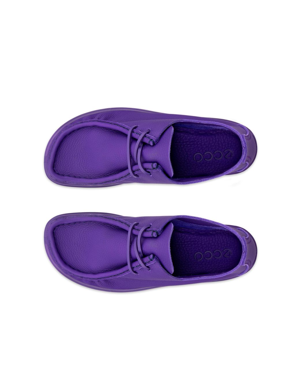 Ecco Purple Joke