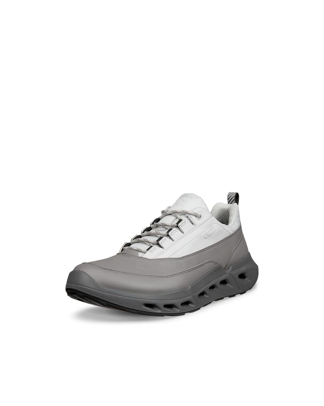 Ecco Gray Biom 720 for men