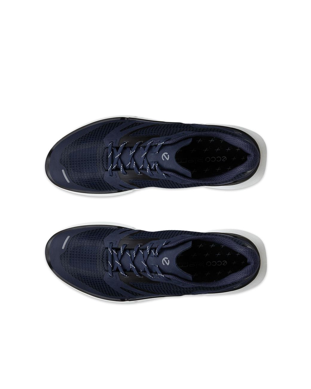 Ecco Blue Biom 2.2 for men
