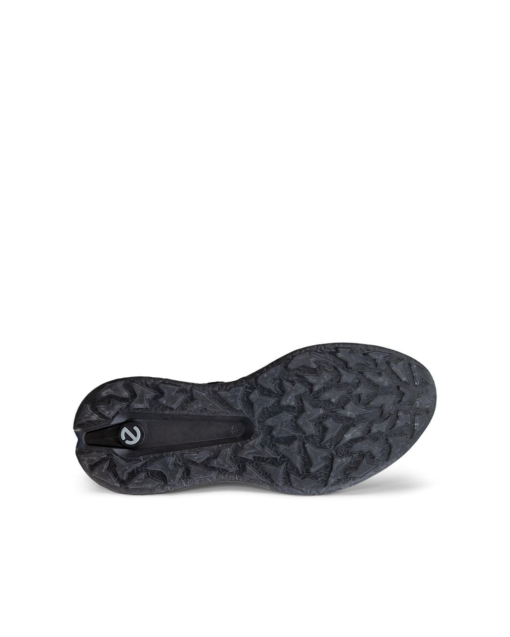 Ecco Black Golf Biom H5 for men