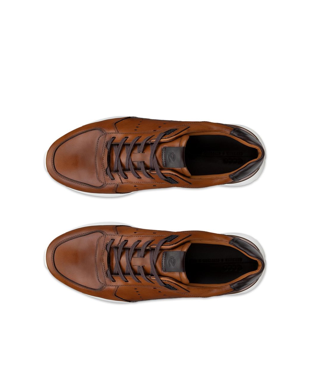 Ecco Brown Astir Neo for men