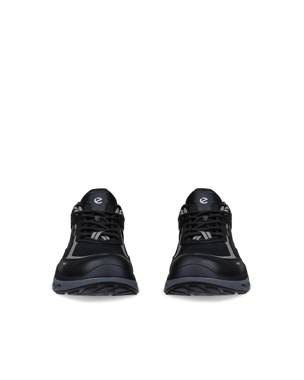 Ecco Blue Biom 720 for men