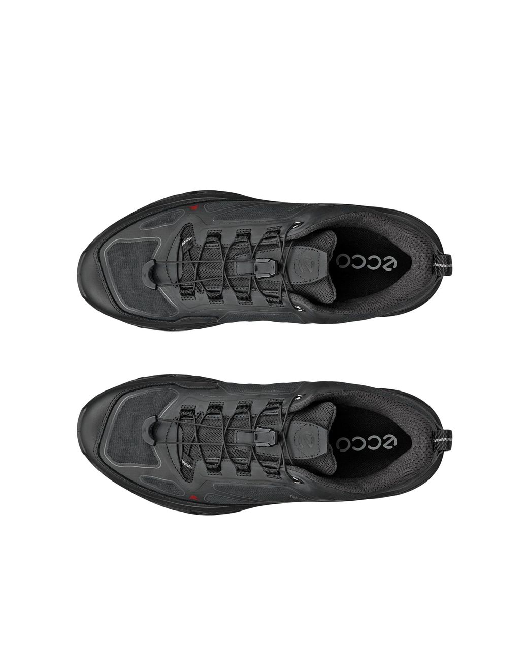 Ecco Black Receptor Xp for men