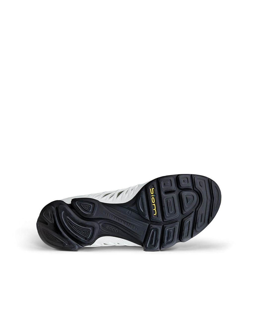 Ecco Gray Biom Aex for men