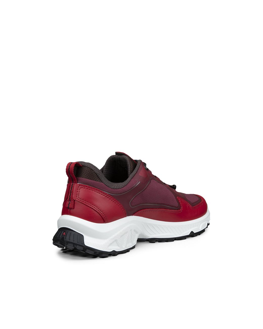 Ecco Red Receptor Xp