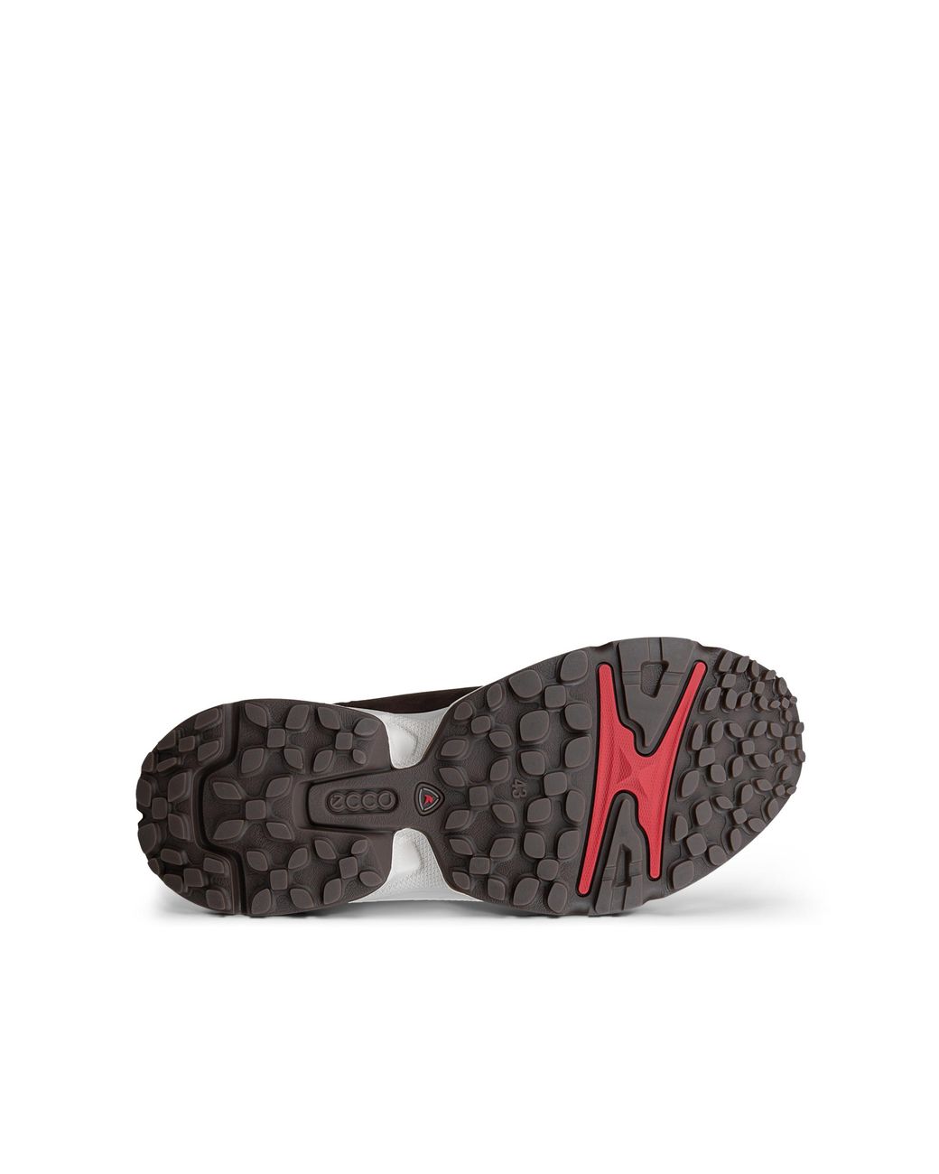 Ecco Brown Receptor Xp for men