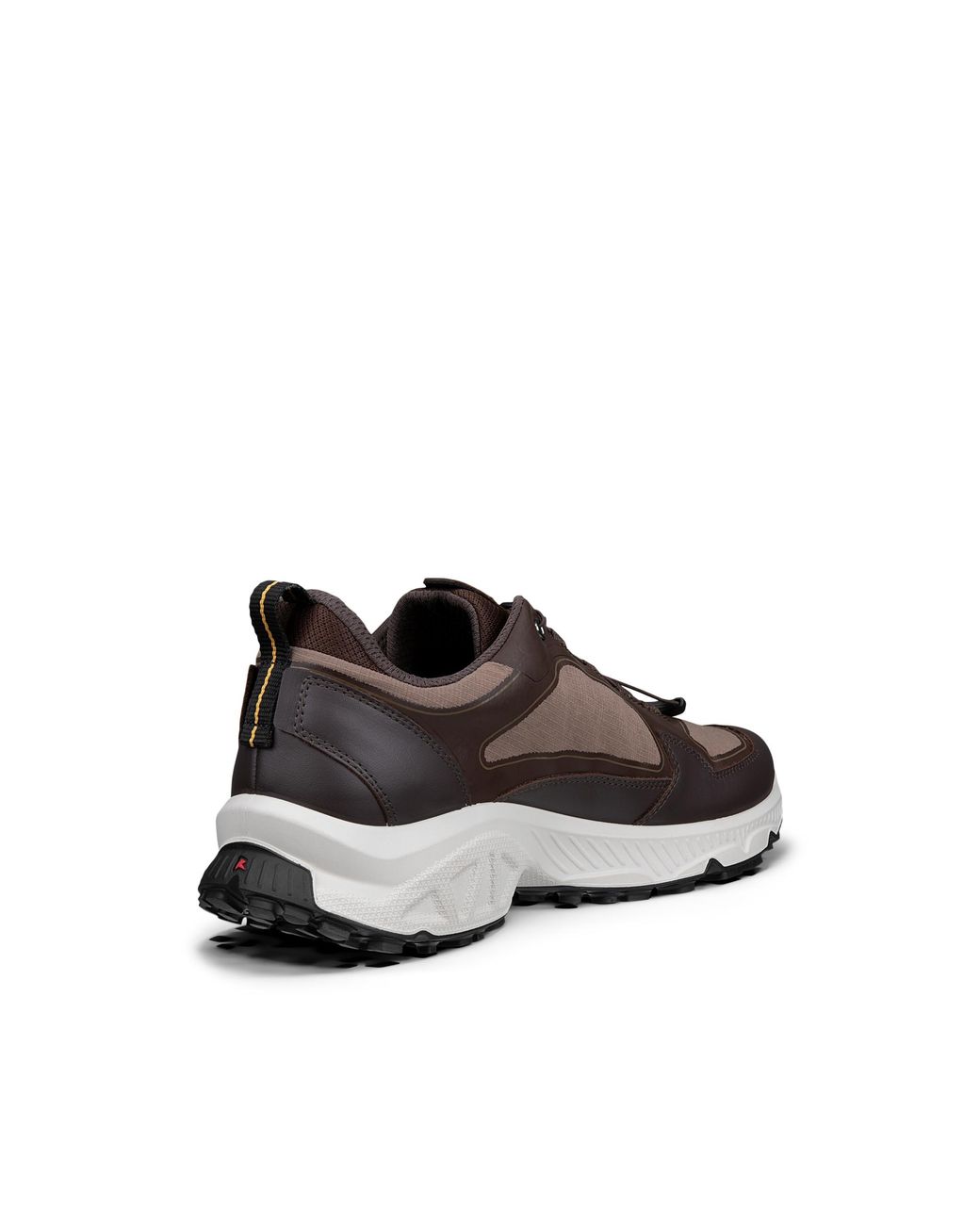 Ecco Brown Receptor Xp for men