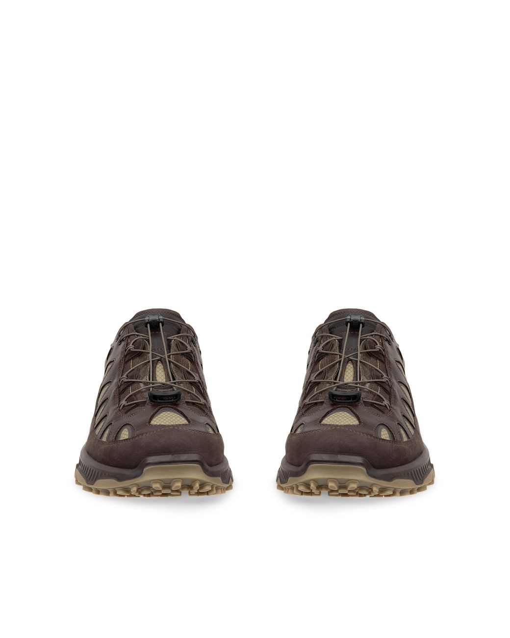 Ecco Brown Wm Receptor Xp for men