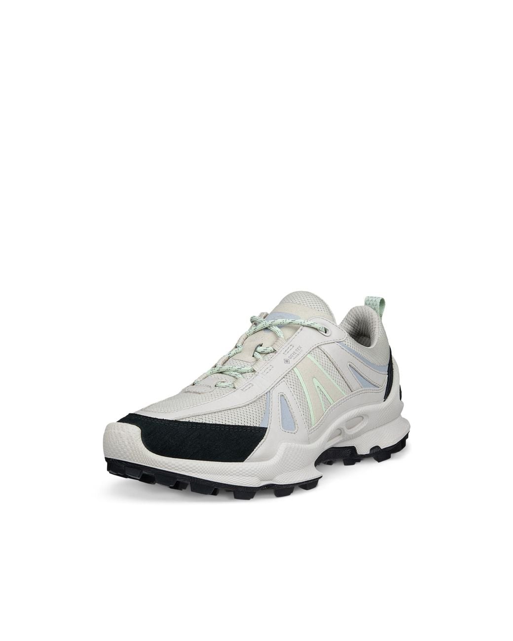 Ecco Gray Biom C-Trail