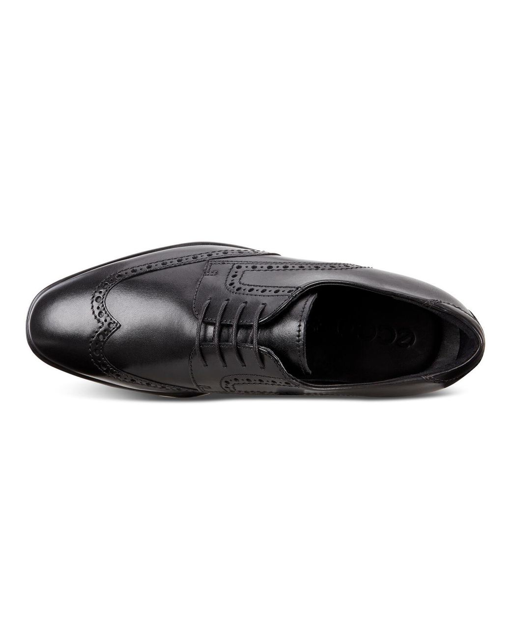 ecco melbourne wingtip