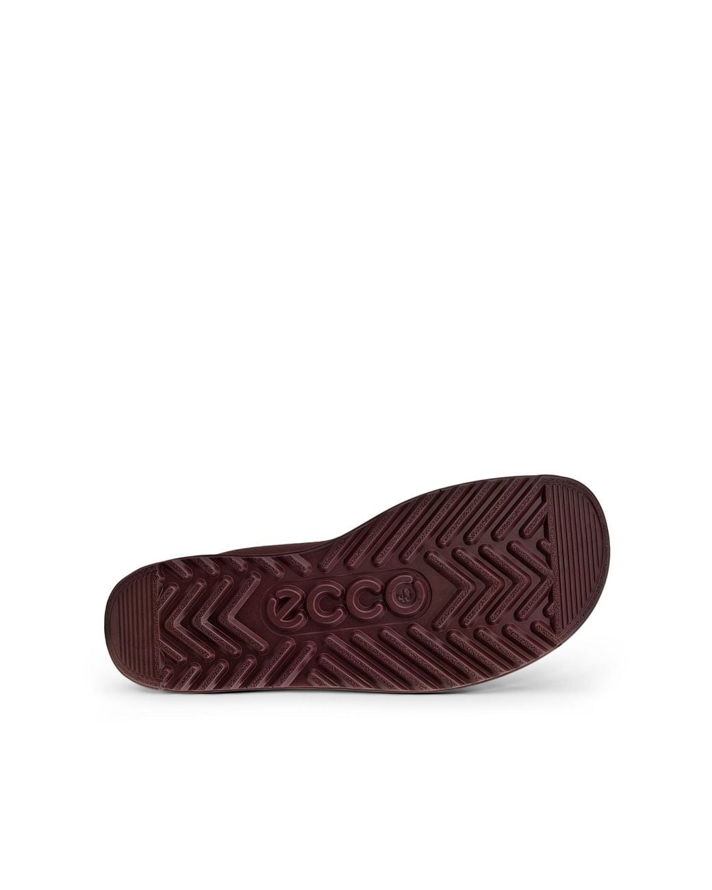 Ecco Purple Joke