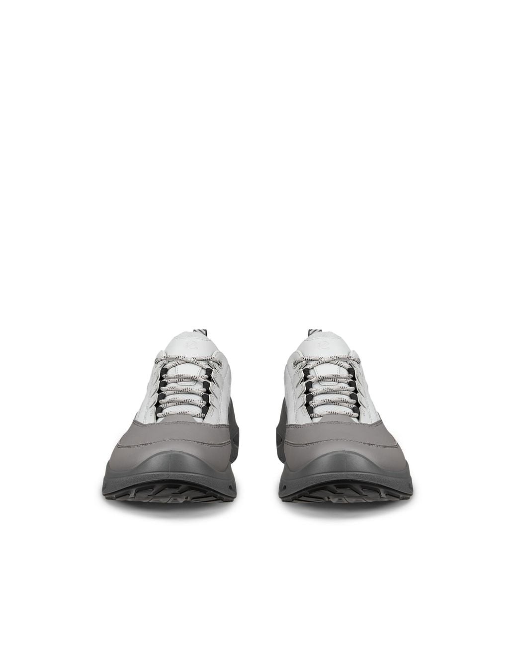 Ecco Gray Biom 720 for men
