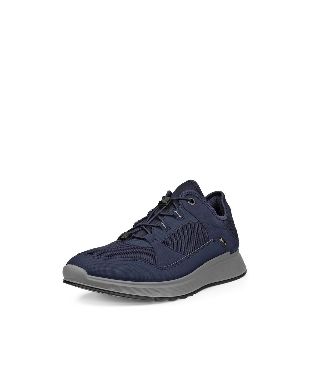 Ecco Blue Exostride for men