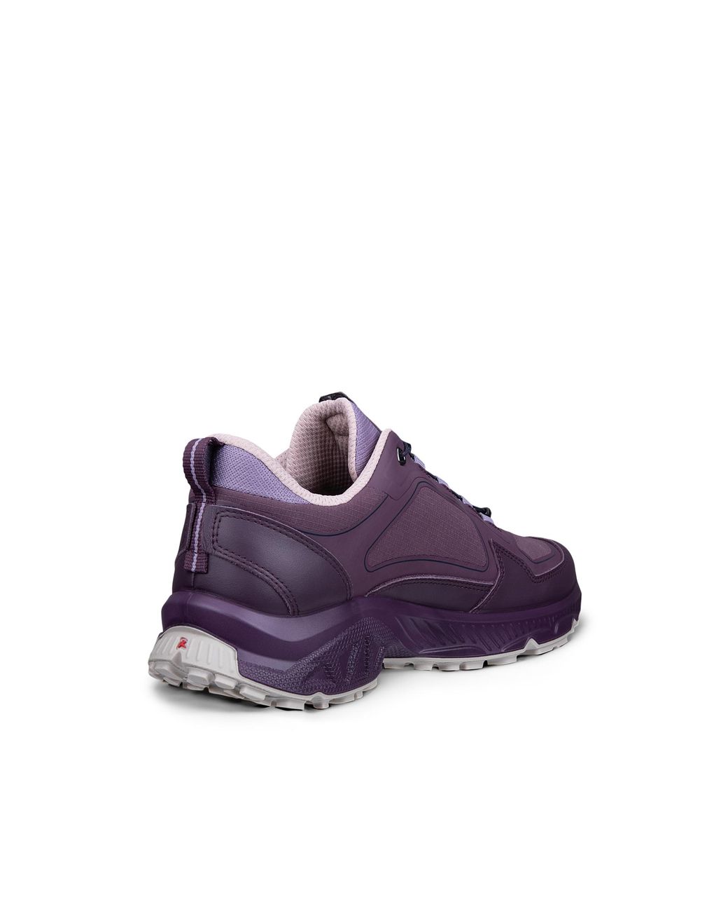 Ecco Purple Receptor Xp