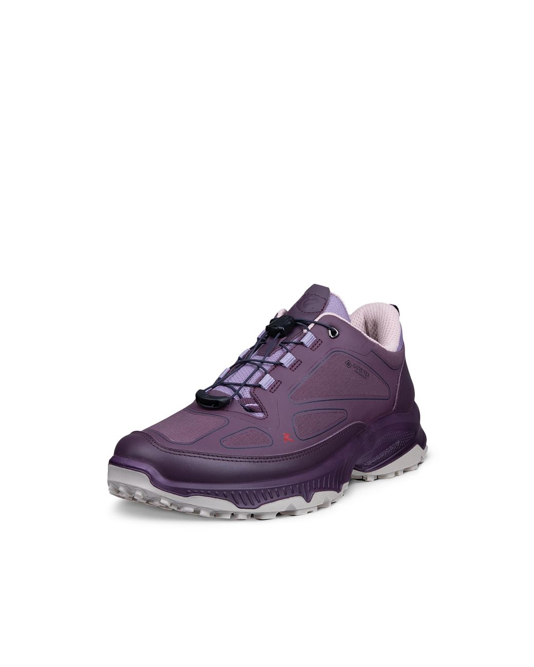 Ecco Purple Receptor Xp