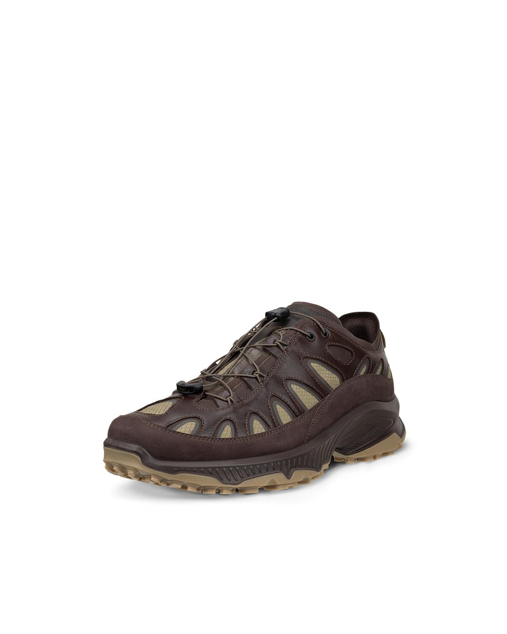 Ecco Brown Wm Receptor Xp for men