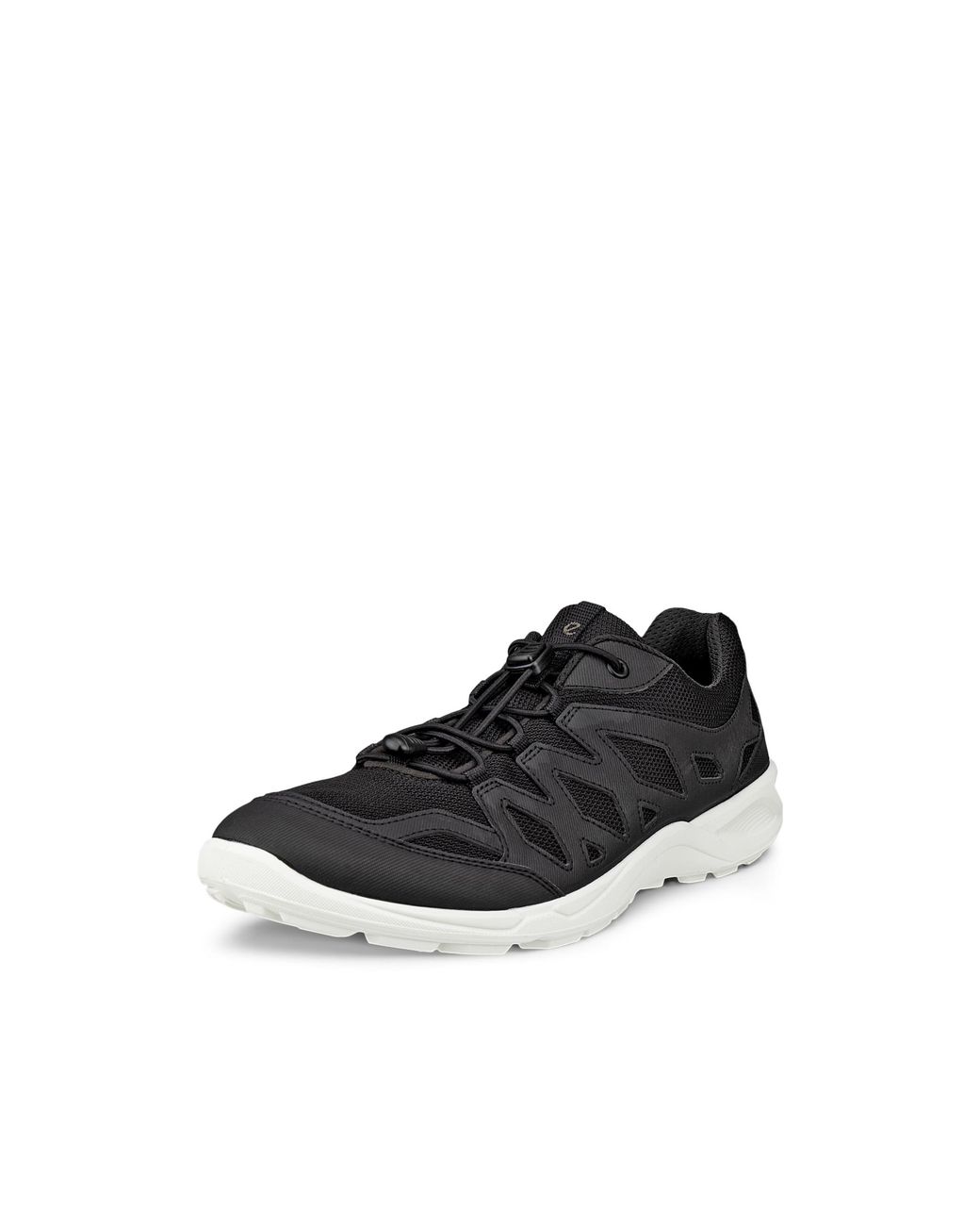 Ecco Black Terracruise Lt