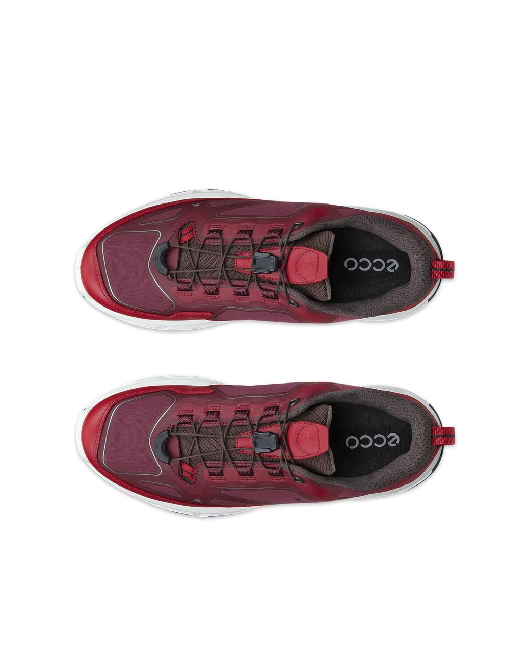 Ecco Red Receptor Xp