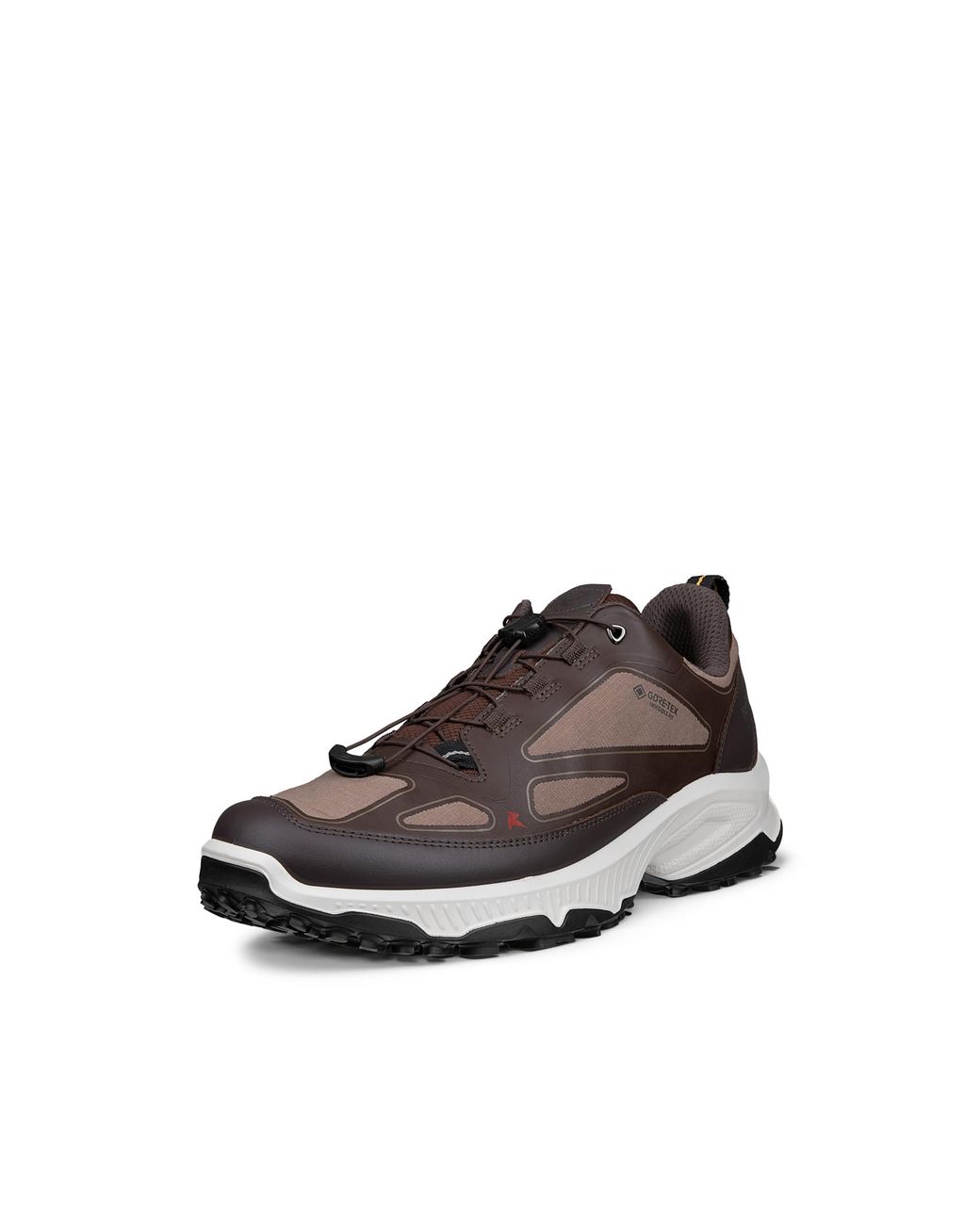 Ecco Brown Receptor Xp for men