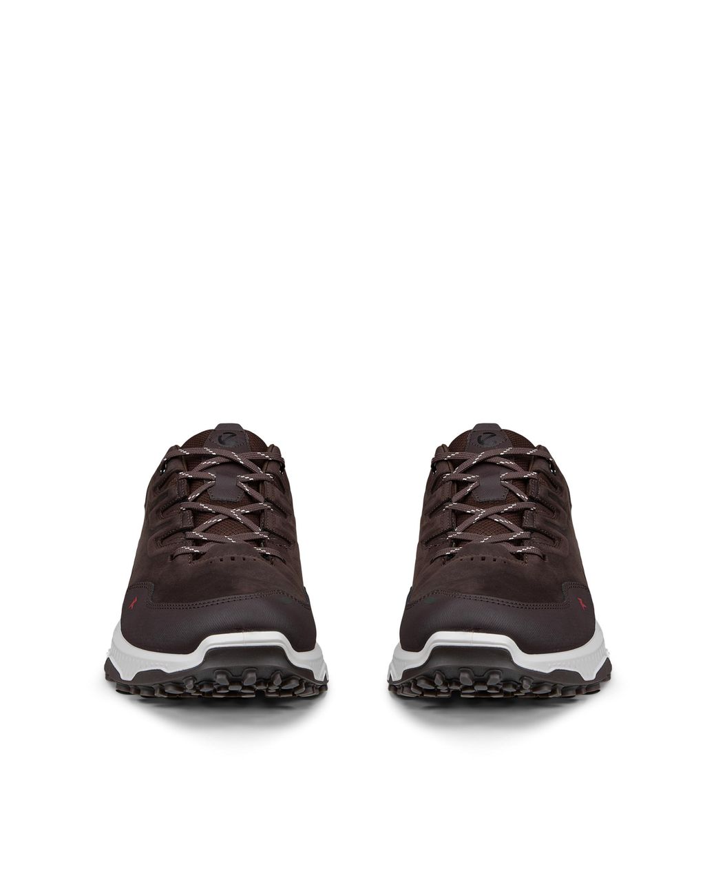 Ecco Brown Receptor Xp for men