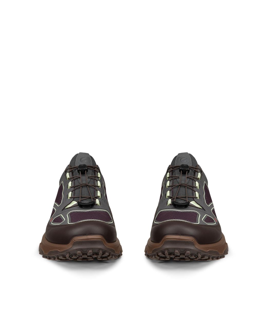 Ecco Brown Receptor Xp for men