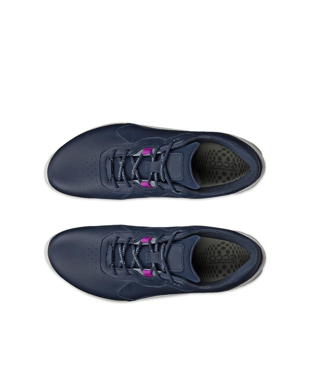 Ecco Blue Biom Energi