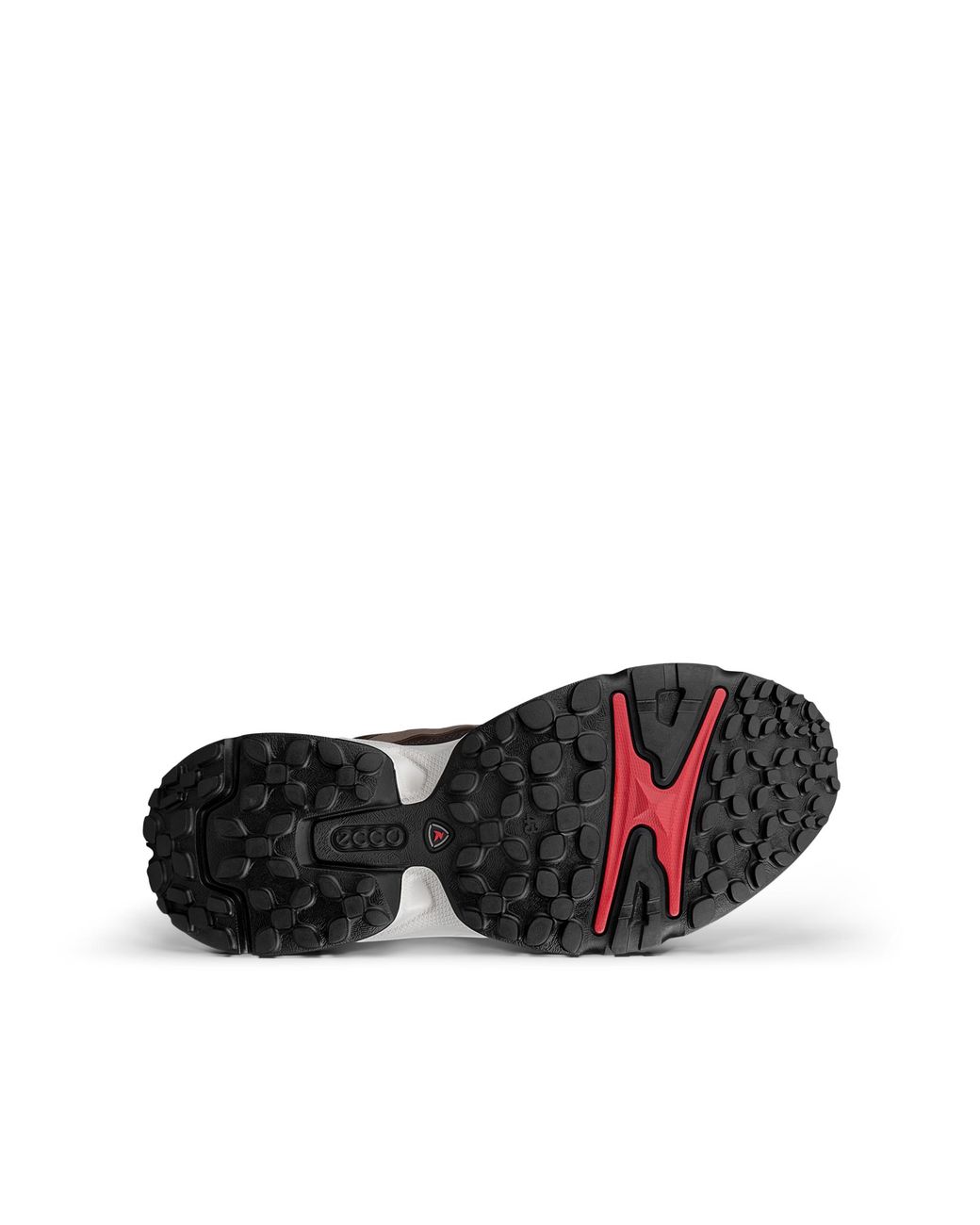 Ecco Brown Receptor Xp for men