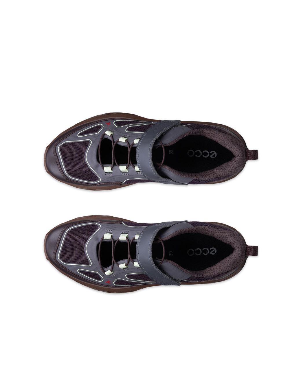 Ecco Gray Receptor Xp