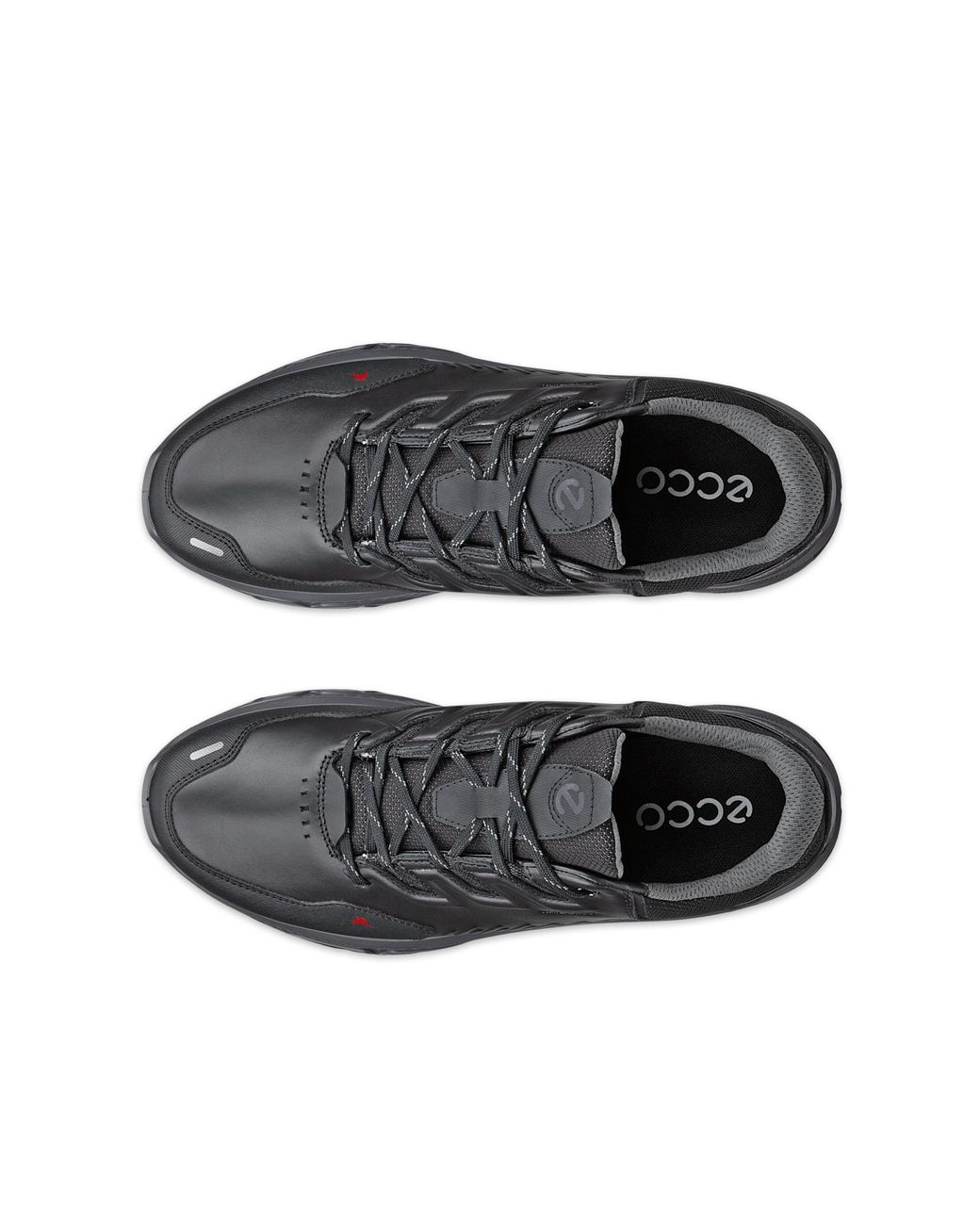 Ecco Black Receptor Xp for men