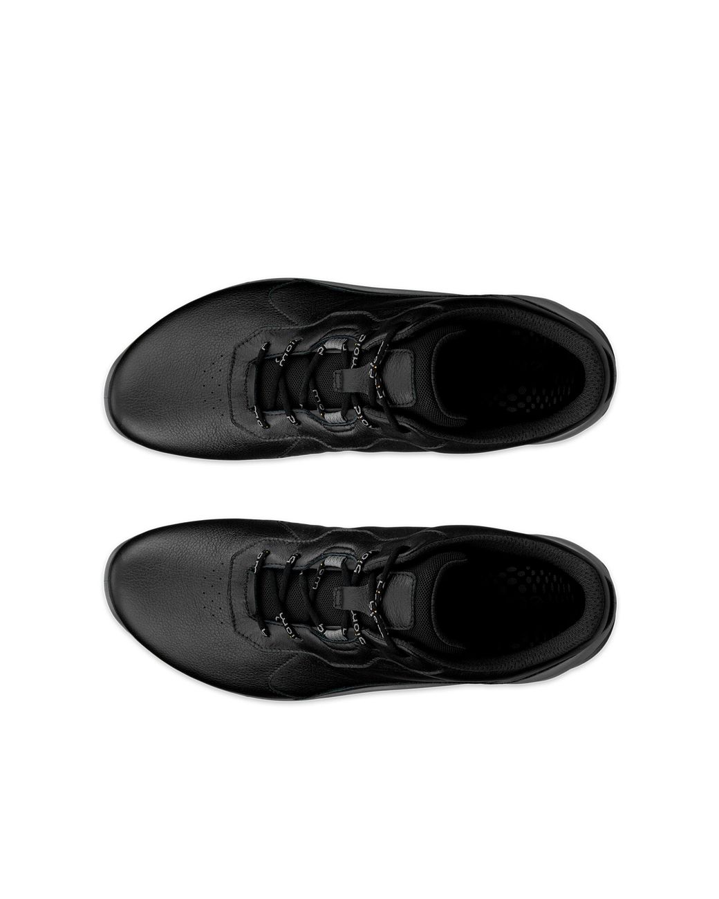 Ecco Black Biom Energi for men