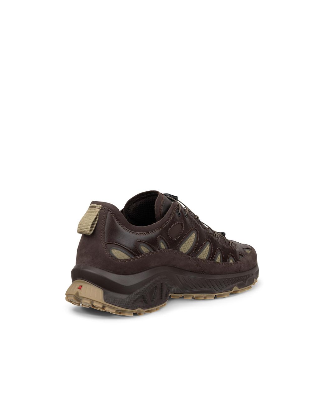 Ecco Brown Wm Receptor Xp for men