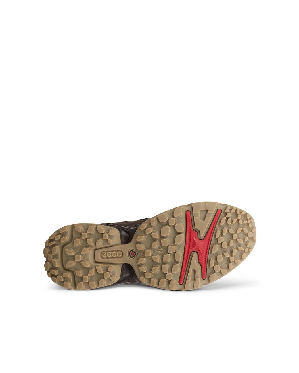 Ecco Brown Wm Receptor Xp for men