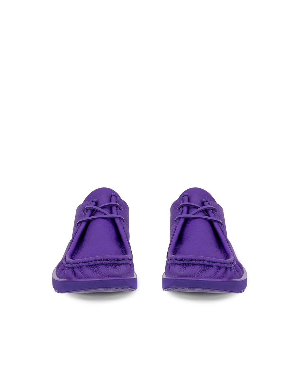 Ecco Purple Joke