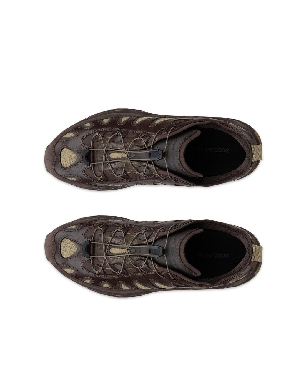 Ecco Brown Wm Receptor Xp for men