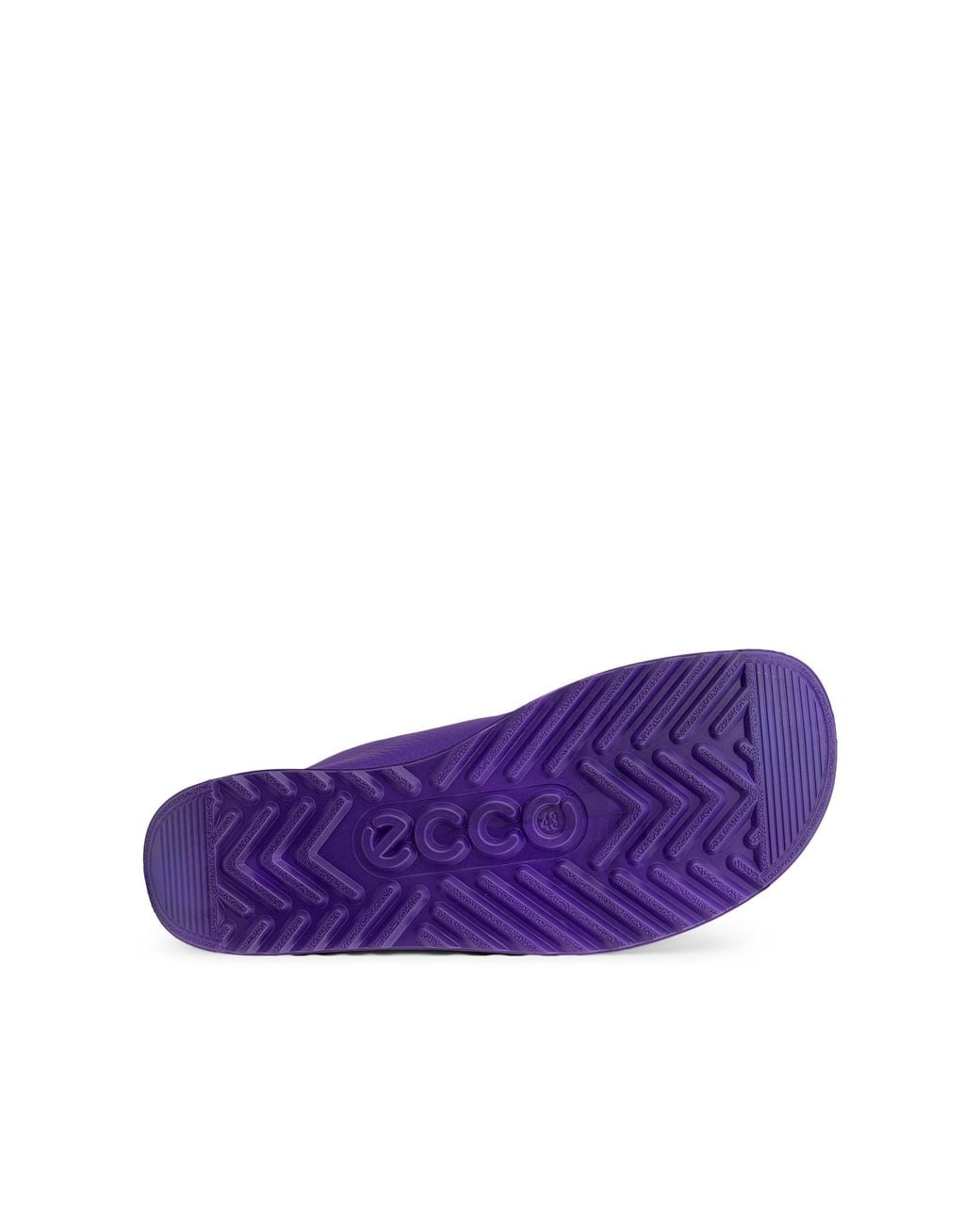 Ecco Purple Joke
