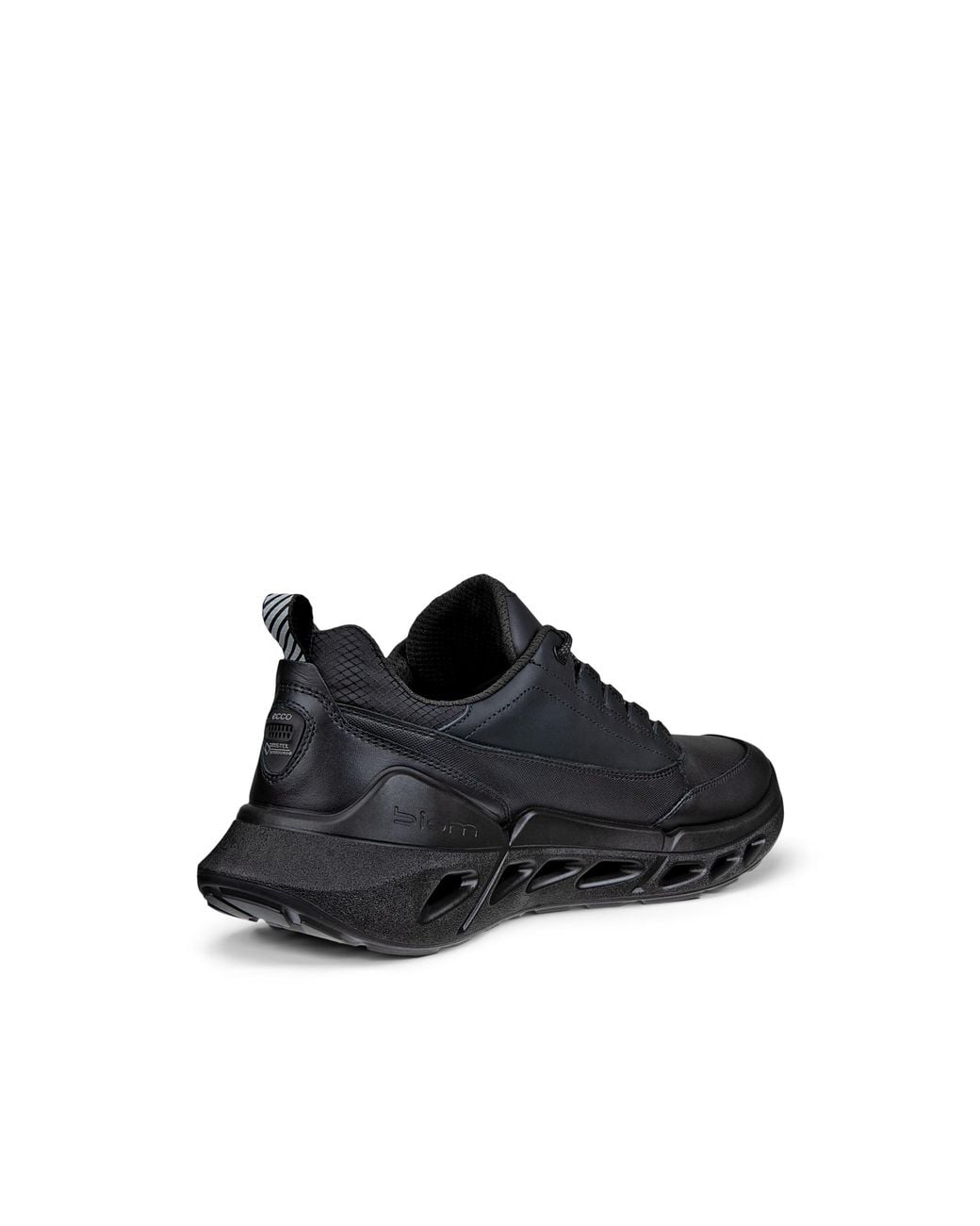 Ecco Blue Biom 720 for men