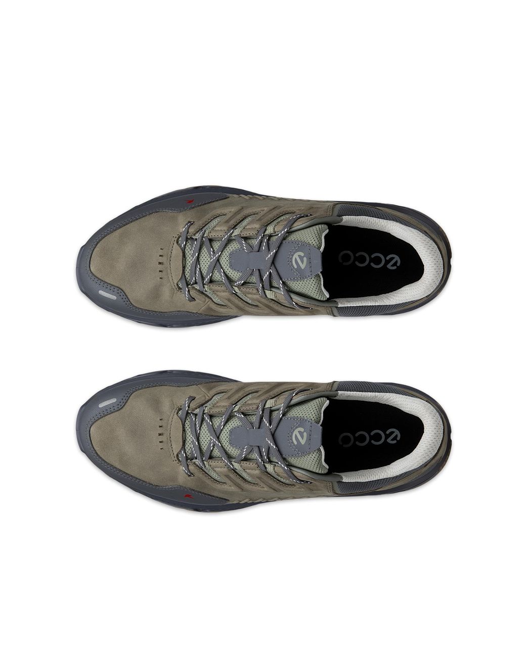 Ecco Gray Receptor Xp for men